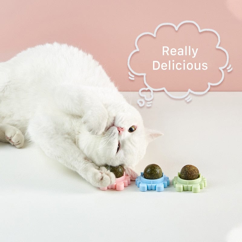 Catnip Ball Toy