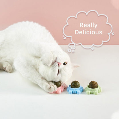 Catnip Ball Toy