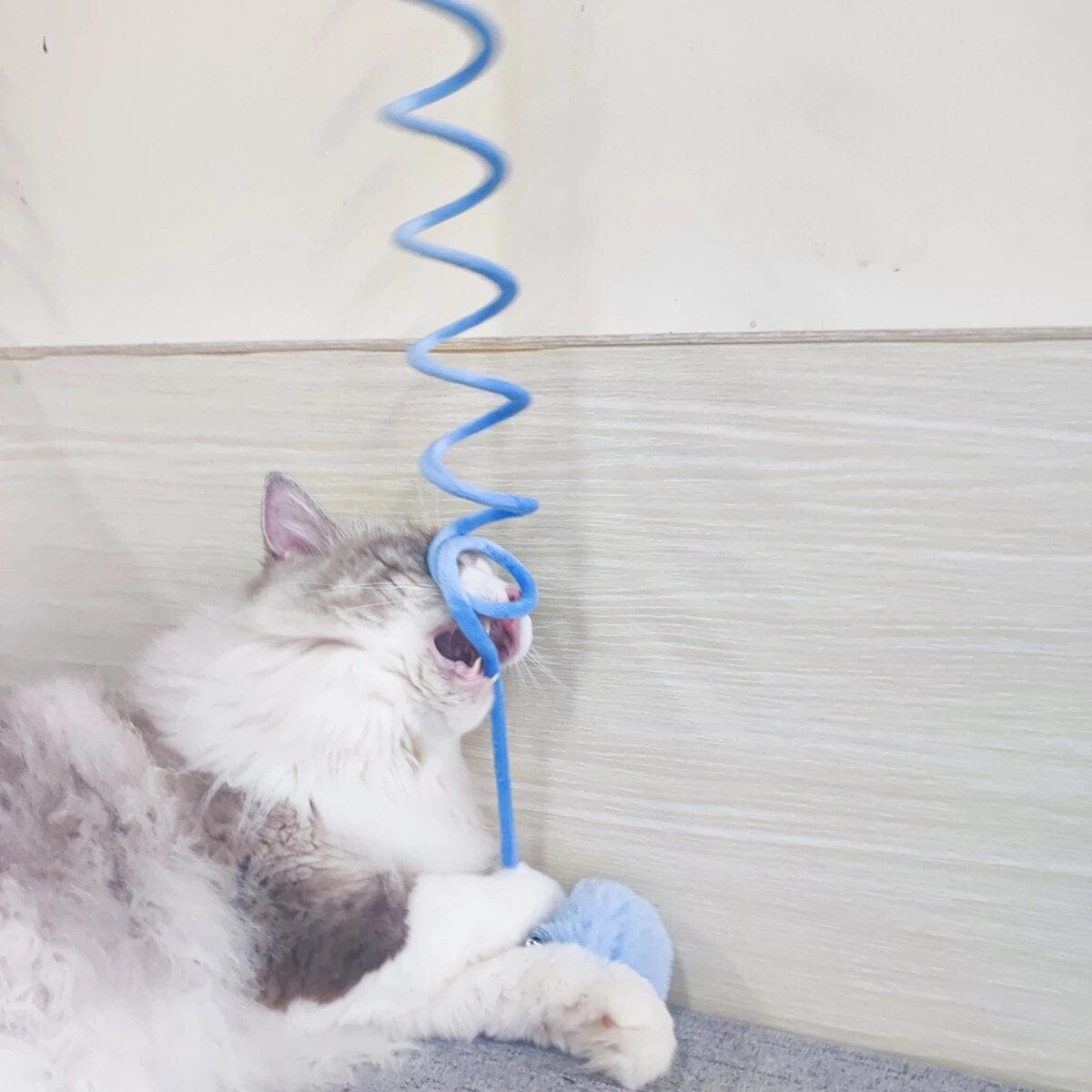 Cat Woolen Spring Toy