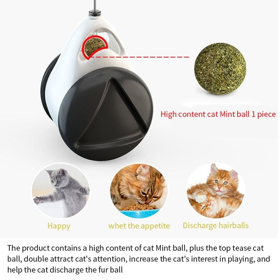 Smart Cat Catnip Toy with Wheels