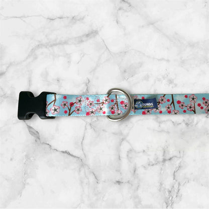 Cherry Blossoms Dog Collars and/or Leash