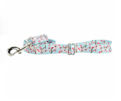 Cherry Blossoms Dog Collars and/or Leash