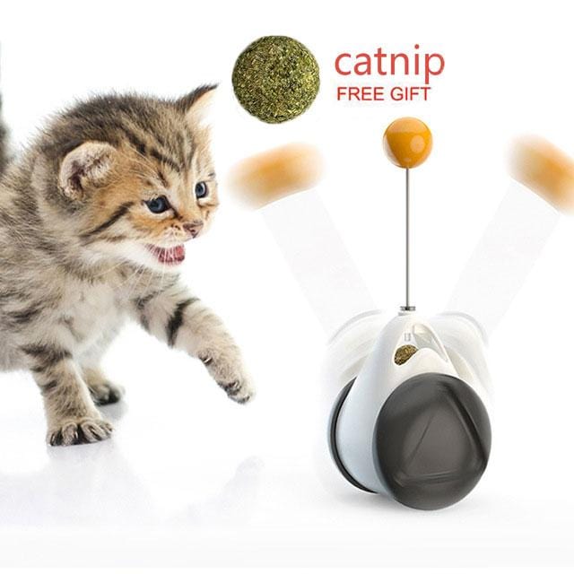 Smart Cat Catnip Toy with Wheels