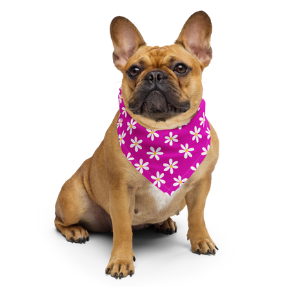 Dog Bandana - Violet Daisy