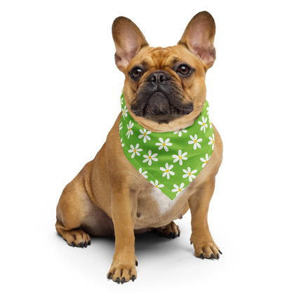 Dog Bandana - Green Daisy