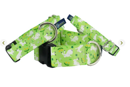 Lucky Dog Dog Collars and/or Leash